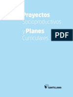 Proyectos Planes: Socioproductivos y Curriculares