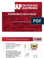 La estructura ósea de la pelvis