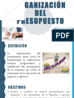 Organización Del Presupuesto