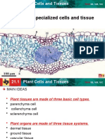 21.1 Plant cells and tissues