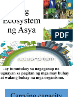 Ang Ecosystem NG Asya