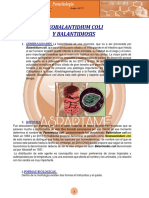 Generalidades: Balantidium Coli, Que Es Un Protozoario Ciliado y El Más Grande en El Intestino Que Infecta