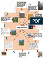 Ecorregiones Del Peru