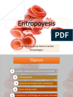 Eritropoyesis