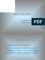 BRUCELOSIS2