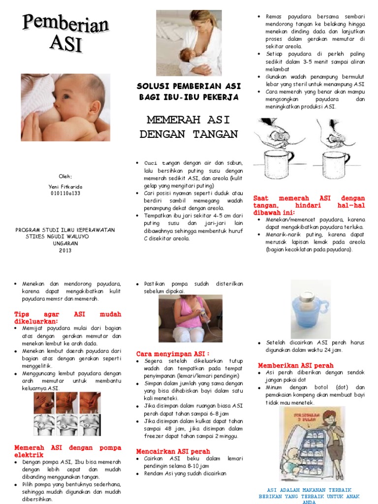 Leaflet ASI Perah | PDF
