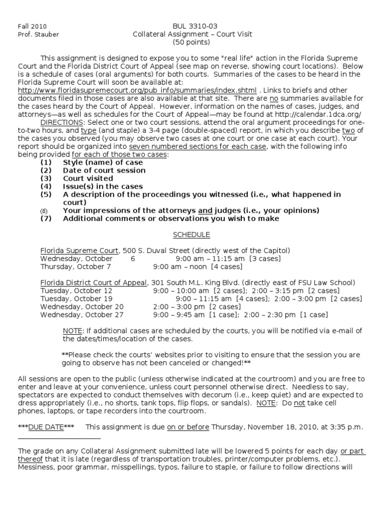Court Visit Report Assignment Guide | PDF | Brief (Law) | Appeal
