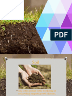 Soil Resources: Factors Influencing Soil Formation and Characteristics