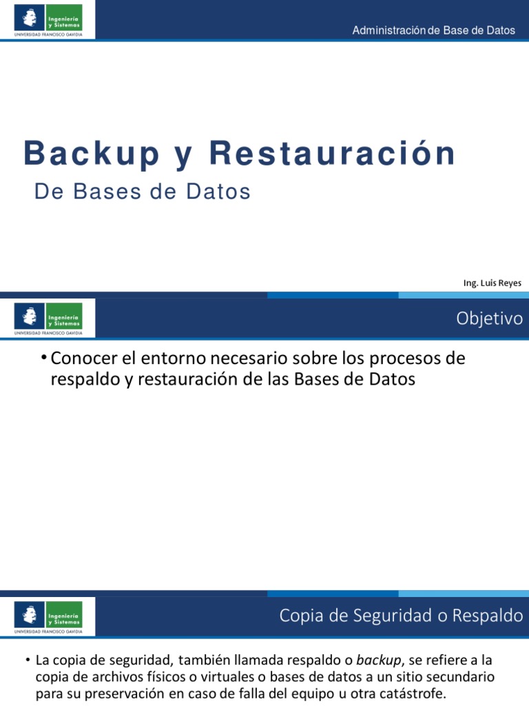 01 Backup y Restauracion de BD | PDF | Computación en la nube | Apoyo