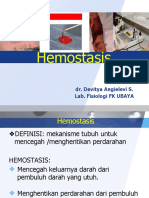 Hemostasis Blok Hi