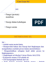 Kuliah 3 Kerja Sel Respirai Selular