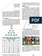 Fibonacci Sequence: Numbers