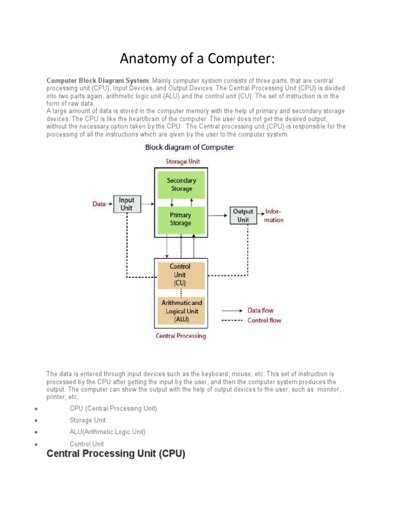 Anatomy of a Computer: Exploring the Key Components, Functions, and ...