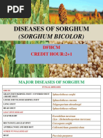 Diseases of Sorghum