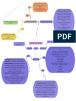 Tipos de Plizas de Seguros