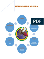 Cadena Epidemiologica Del Zika