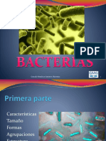 4 Bacterias