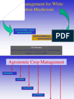 Crop Managment
