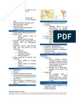 Anatomy Hpysiology of Shoulder