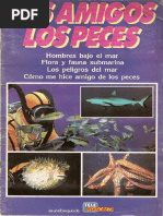 Galanes Argentinos | PDF | Televisión | Poesía épica