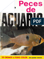 Peces de Acuario