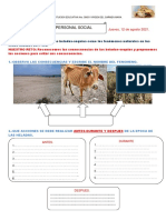 Actividad 12 DE AGOSTO