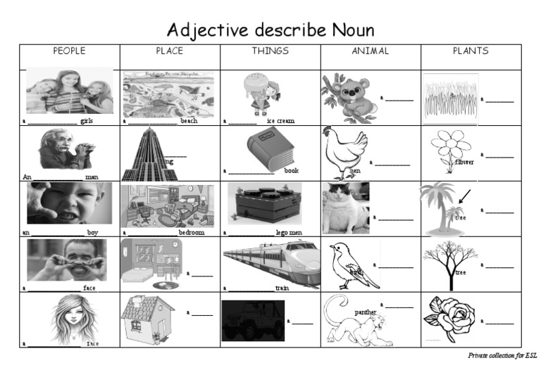 Adjective Describe Noun People Place Things Animal Plants PDF