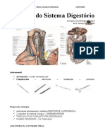 4ª Aula Cirurgia do Sistema Digestório