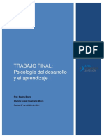 Trabajo Final Psicología Del Desarrollo y El Aprendizaje I