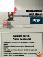 Curs 5 Managementul Micilor Afaceri - BalanSM