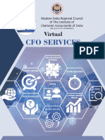 Virtual CFO Services Icai