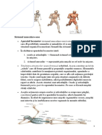 Sistemul Locomotor