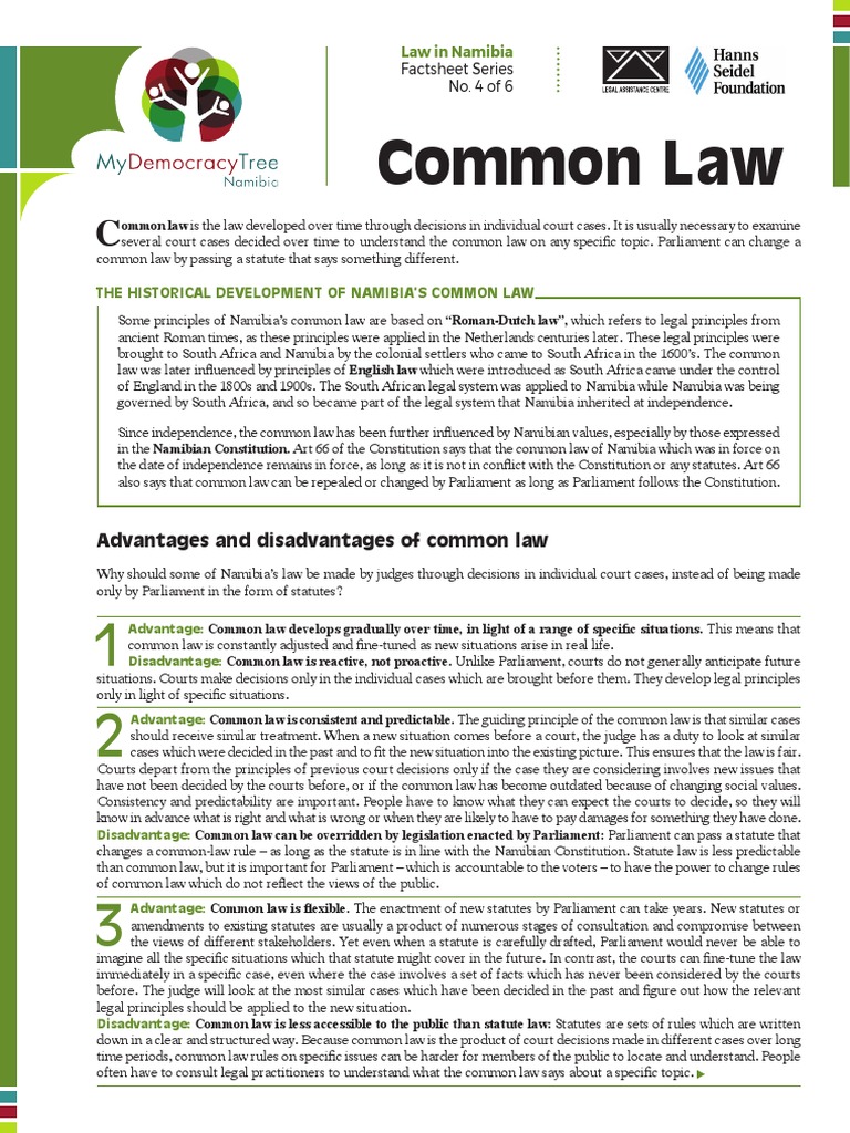 advantages-and-disadvantages-of-common-law-pdf-common-law