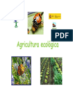 Agricultura ecológica en Lanzarote: principales cultivos y conceptos clave