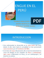 El Dengue en El Perú