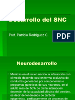 Desarrollo Del SNC