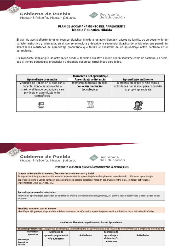 Plan de Acompañamiento para El Aprendiente | PDF | Aprendizaje | Maestros