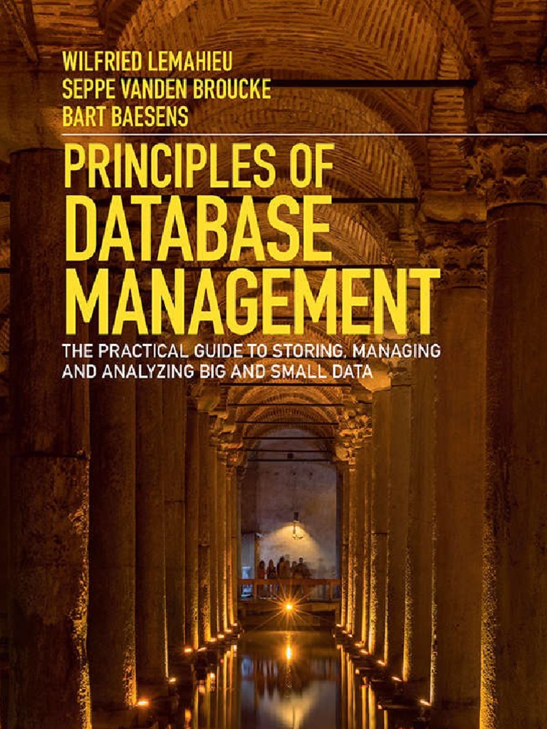 PRINCIPLES OF DATABASE MANAGEMENT WILFRIED LEMAHIEU PDF intelligence overview