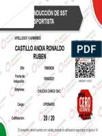 Chucas Cargo Sac - 76883628 Castillo Andia Ronaldo Ruben
