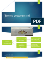 Tronco Costocervical