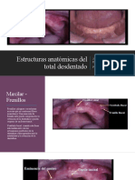 Estructuras Anatomicas Desentado