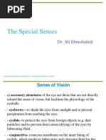 Special Senses Eye and Ear