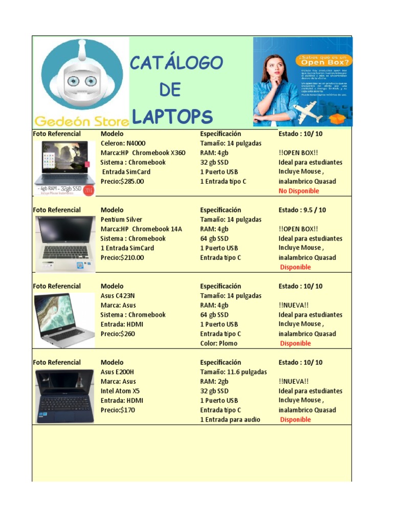Ficha Laptops | PDF | Computadoras personales | Hardware de la computadora