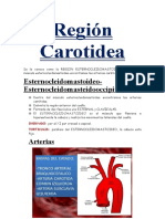 Región Carotidea