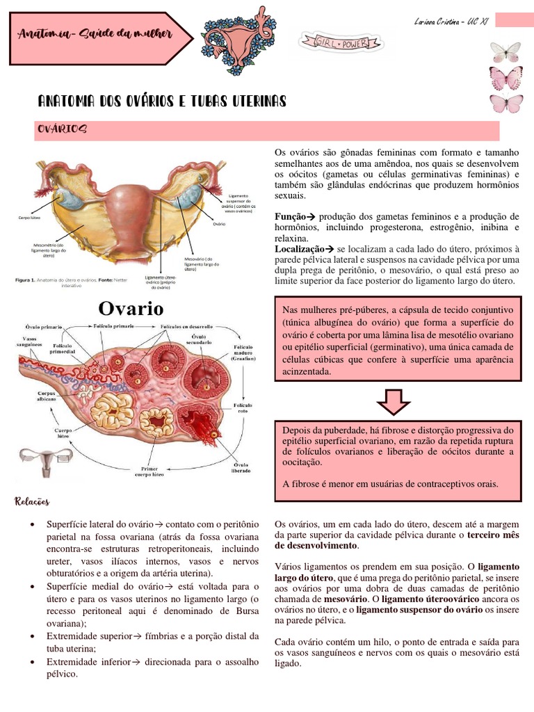 Anatomia Dos Ovários e Tubas Uterinas PDF Anatomia sexual Biologia