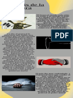 Infografia Lenguaje N°1