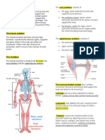 Musculoskeletal System