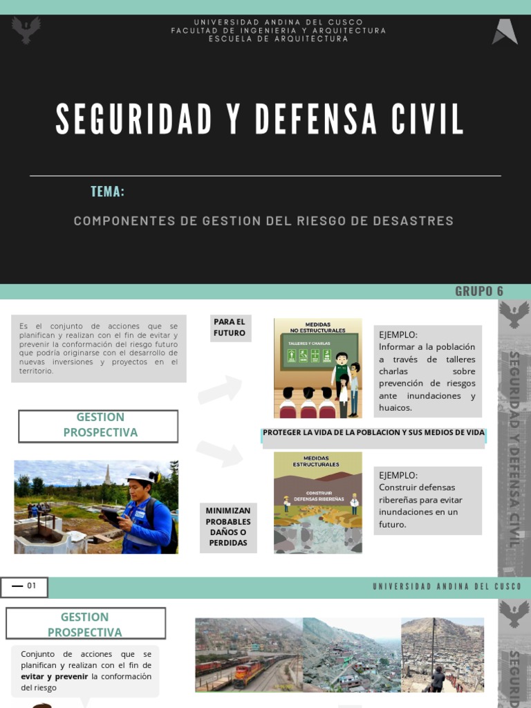 Seguridad y Defensa Civil | PDF | Riesgo | Reducción de Desastres