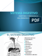 Anatomia Sistema Digestivo