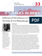 Issues in Brief: Diffusion of Microfinance in Development: The Role of U.S. Philanthropic Foundations